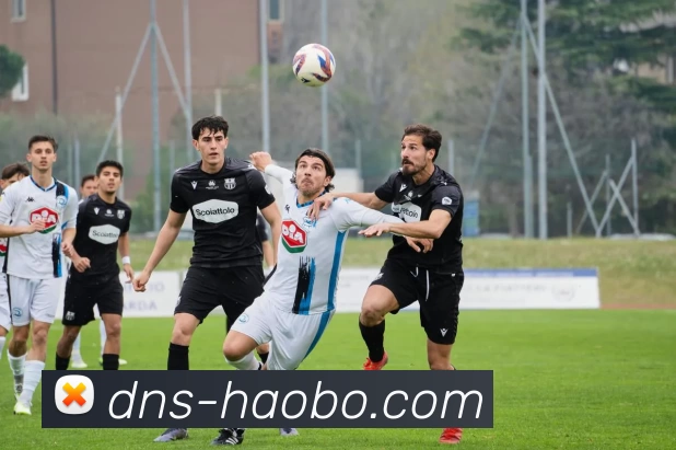 赛事专题整合